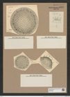 Stephanopyxis grunowii Gr. et St. (de-Toni-Nr.: Genus 187, Species 4653) Zeichnungen Sammlung Grunow Nr. 8299 (NHMW-BOT-W0377698)